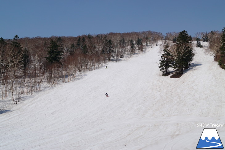 サッポロテイネ 現在積雪 215cm。山麓まで思いっきり滑れます！